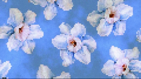 Pixel Art White Flowers Pattern Seamless Motion Blue Background Видео 342925130