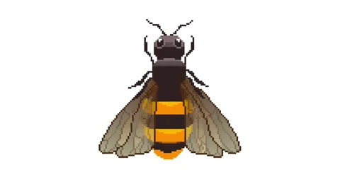 Pixel bee, insect, bug. Flying bee animation. Video stock 148199455