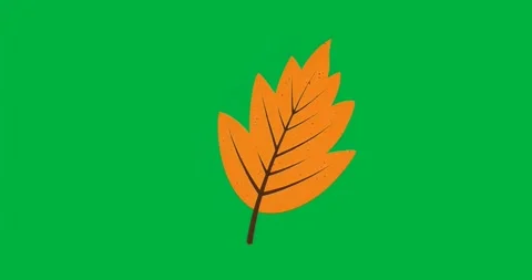 Pixel burst expanding, settling around stylized leaf, highlighting form on Stock Footage 317456490