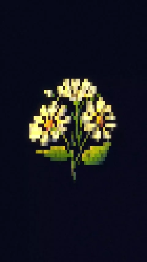 Pixel daisy on dark background Stock Footage 328996670