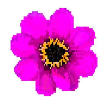 Pixel field flower vector illustration isolated on white background Illustrazione stock