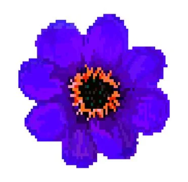 Pixel field flower vector illustration isolated on white background Illustrazione stock