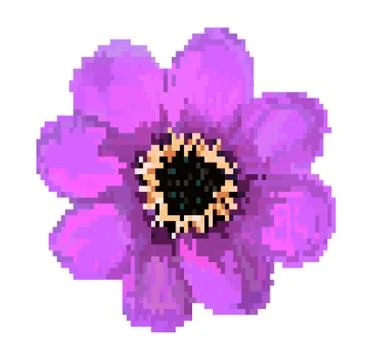 Pixel field flower vector illustration isolated on white background Stock Illustration