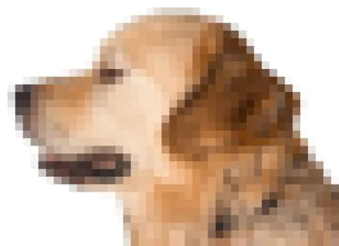 Pixel image of dog Stock Illustration