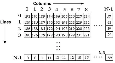 Pixel Intensity Matrix Representation Highlighting Column and Line Data for.. Stock-Fotos