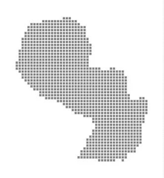 Pixel map of Paraguay. Vector dotted map of Paraguay isolated on white backgr イラスト素材
