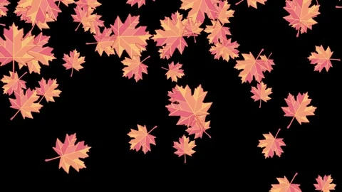 Pixel maple leaves falling animation. Autumn dry leaf fall on black background. Stock Footage 310229433