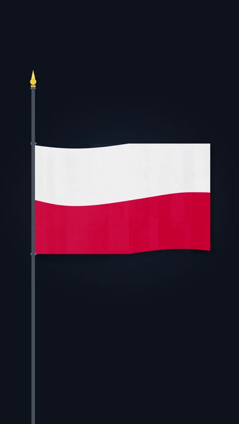 Pixel poland flag waving animation loop in dark background Stock Footage 346638627