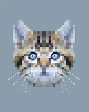 Pixel siberian cat face Stock Illustration