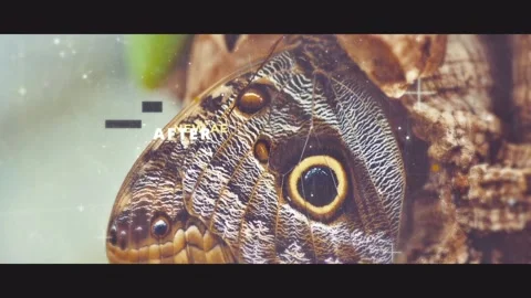 Pixel Slideshow Stock After Effects
