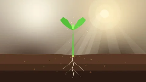 Pixel sprout growing from soil with roots under sunlight animation loop Stock Footage 347212751