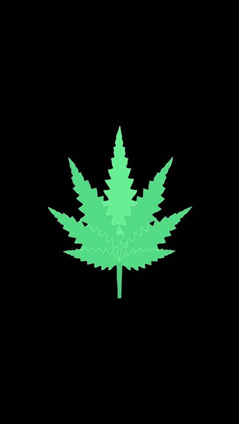 Pixel weed leaf loop animation, green cannabis symbol on black background Stock Footage 346645961