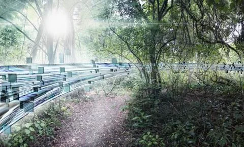 Pixelated data stream in forest Stock Photos