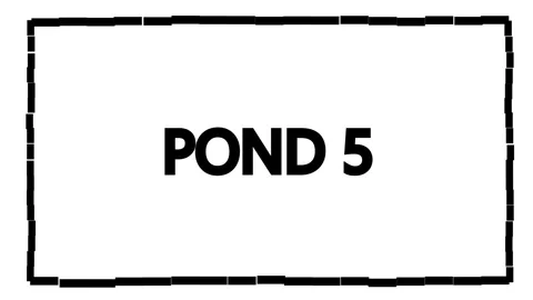 PixelFrame Stock After Effects