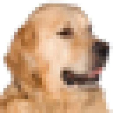 Pixels image of a dog Stock Illustration