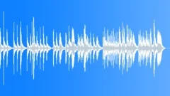 Pizicatto Procession Stock Music