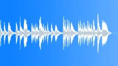 Pizicatto Procession Stock Music