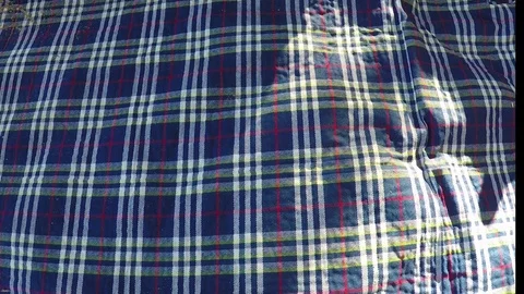 Pizza in a box on a picnic Stock Footage 72768442