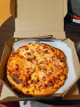 Pizza in Box Scene 库存照片