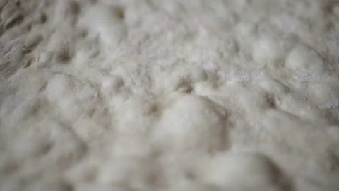 Pizza Close up view of the texture of a risen homemade pizza dough uncooked Stock Footage 155995897