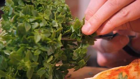 Pizza maker cuts fresh arugula greens and puts on dish Stock Footage 132474008