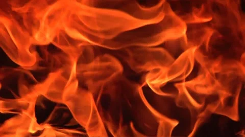 Pizza oven Stock Footage 8835423
