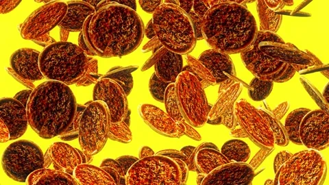 The Pizza Rain Stock Footage 145350020