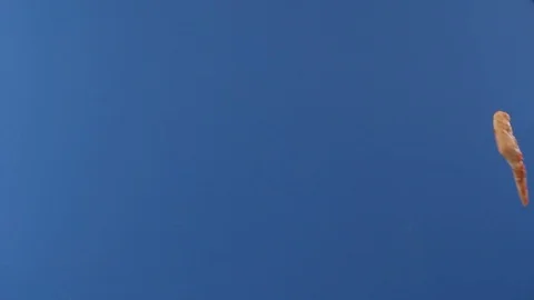 A pizza slice is seen flying back and forth in front of a blue screen. Video stock 126685104