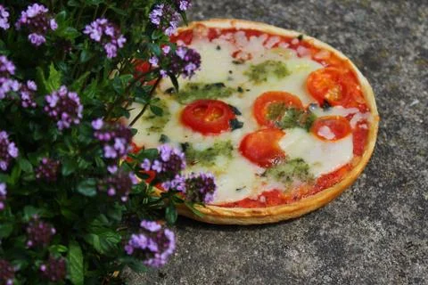 Pizza on a thyme field Stock Photos