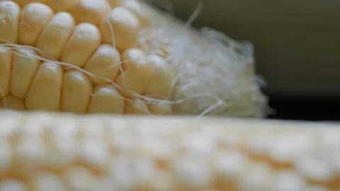 PL SC 018 Stock Footage 108638222