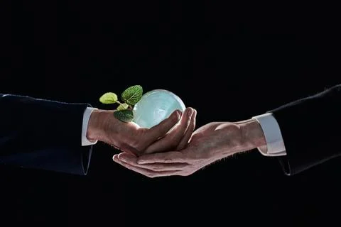 Plabt Growing inside a Sphere - Hand Holding - Eco Concept Stock Photos