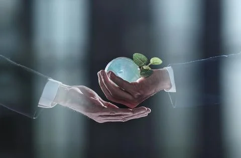 Plabt Growing inside a Sphere - Hand Holding - Eco Concept Stockfoto's