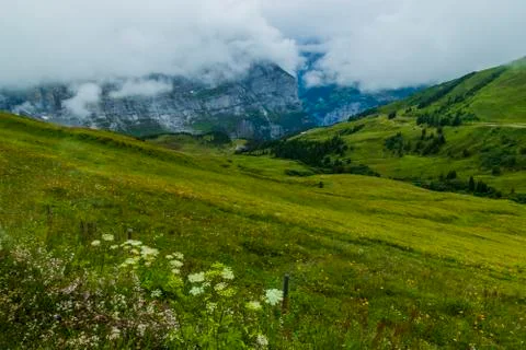 The place called Grindelwald in Switzerland Stock Photos