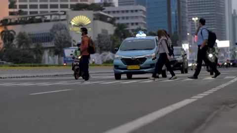 A place to cross the road. Video stock 200956023