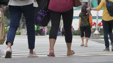 A place to cross the road. Video stock 200960151
