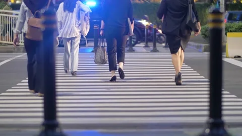 A place to cross the road. Video stock 200968763