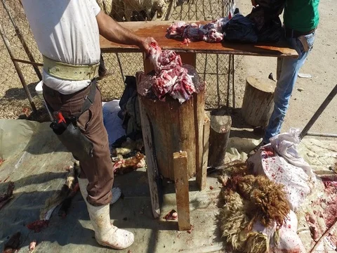 Place for cutting rams. Cut meat Stock Footage 80010974