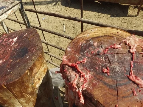 Place for cutting rams Stock Footage 80011053