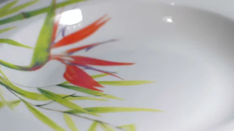 Place dish in a plate Stock Footage 56731741
