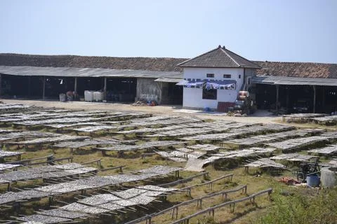 A place for drying small fish caught by fishermen Stock Photos