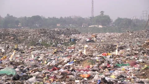 The place is full of city garbage. Stock Footage 239591619