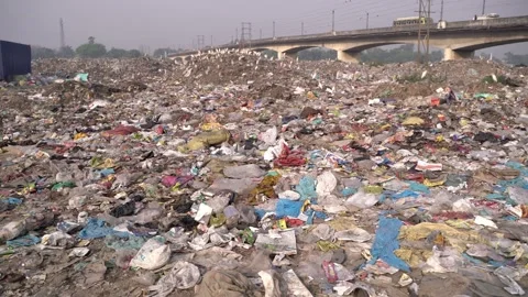 The place is full of city garbage. Stock Footage 239616197