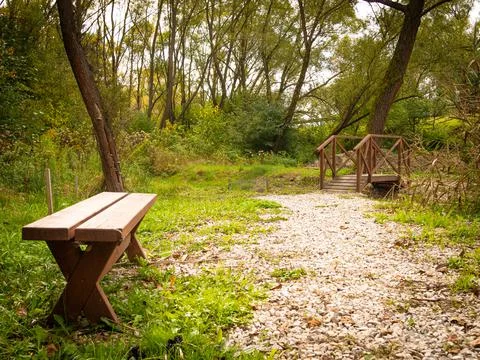 Place near a small forest area, where there is a wooden bench for resting Stock Photos