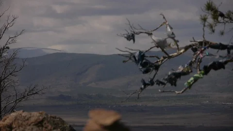 Place of power Vidéo 103438787