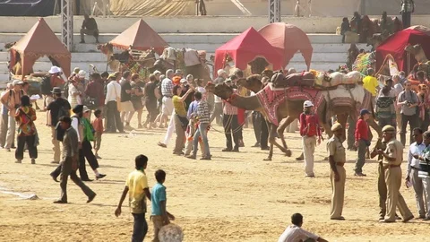 Place Pushkar Camel Fair Stock Footage 118356955