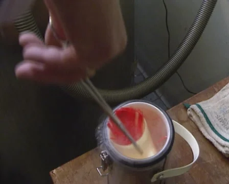 Place a sample of frozen semen from distribution tank into liquid nitrogen tank 库存影片 56852641