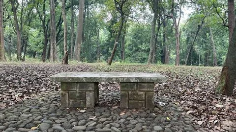 A place to sit in the middle of the forest Stock Photos