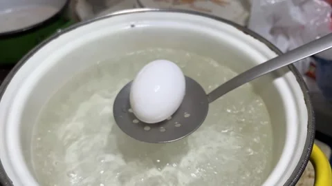 Place white chicken egg on slotted spoon into boiling water in saucepan Stock Footage 274356419