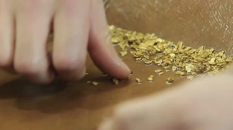 Placer gold in the tray Stock Footage 68331242