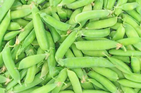 Placer peas 스톡 사진